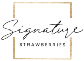 signature-strawberry-logo